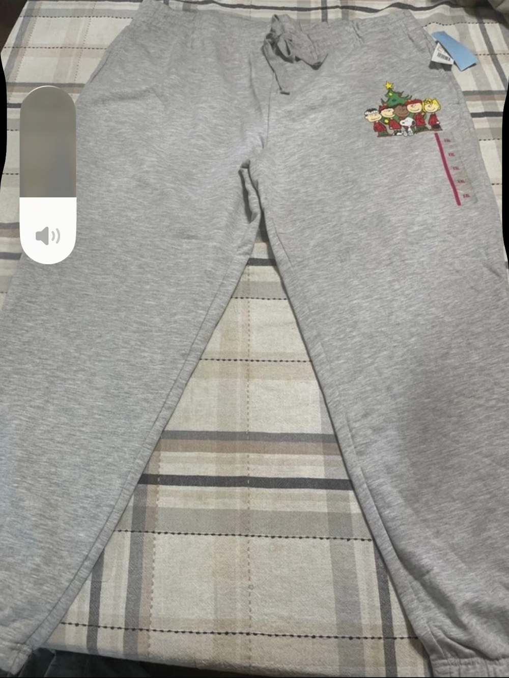 Peanuts Gray Sweatpants with Holiday Character Graphic